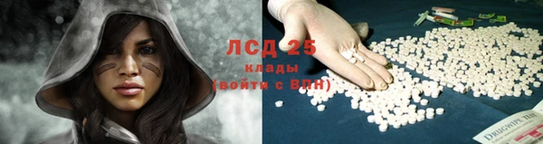 СК Алексеевка