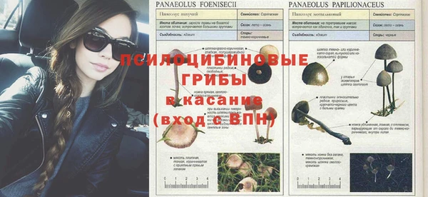 дмт Армянск