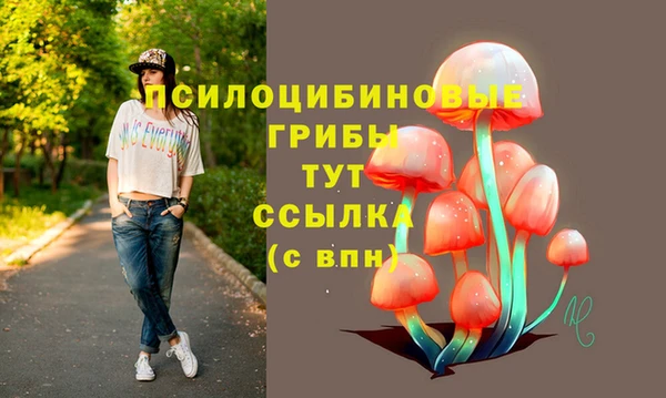 spice Абаза